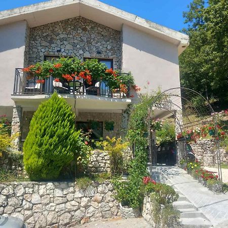 Ferienwohnung Dado Virpazar Exterior foto