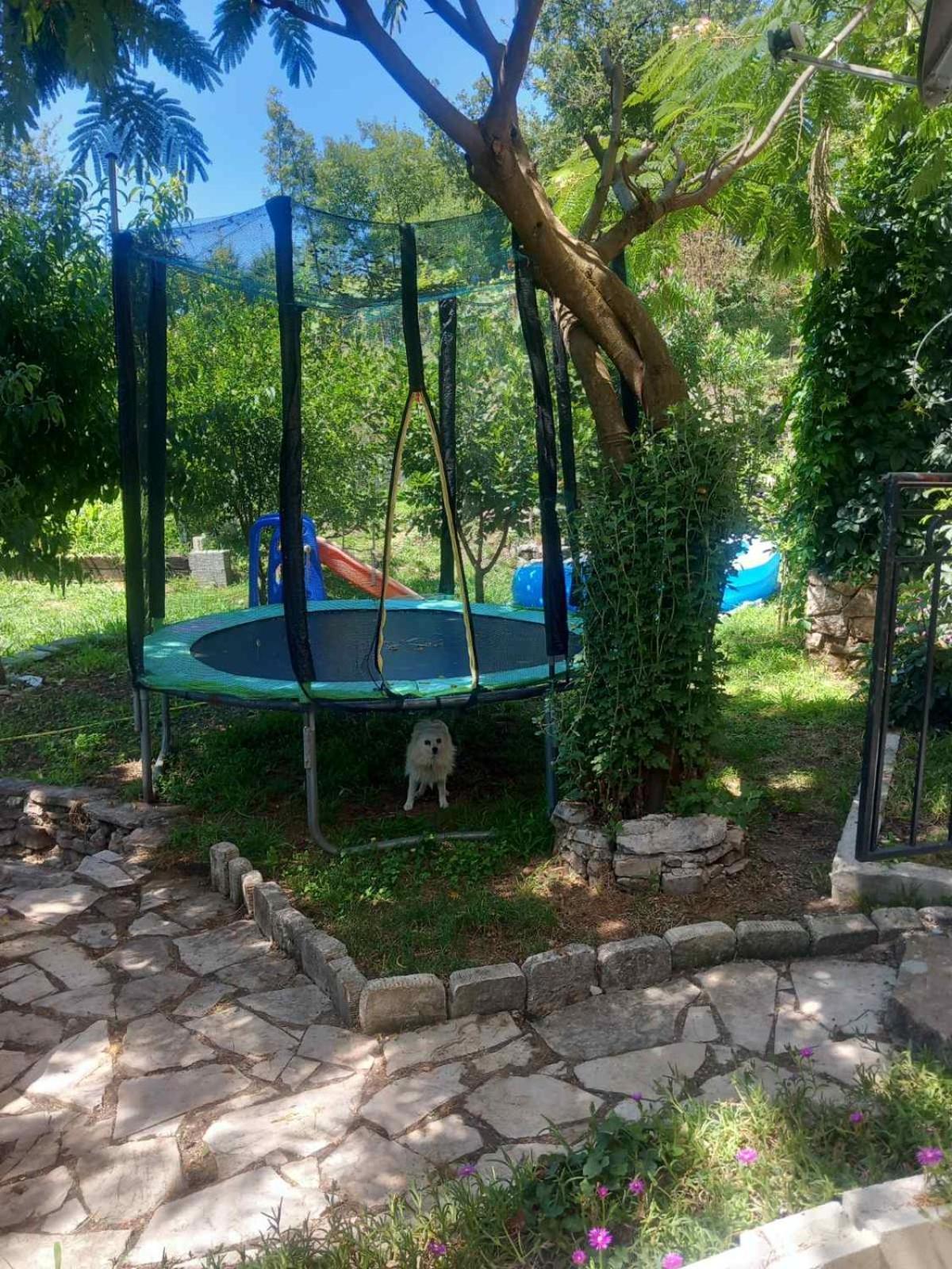 Ferienwohnung Dado Virpazar Exterior foto